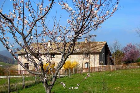 casa mameli vista dal campo